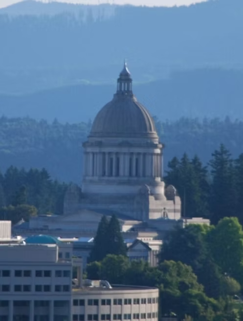 Renew Thurston County To Establish a County Charter