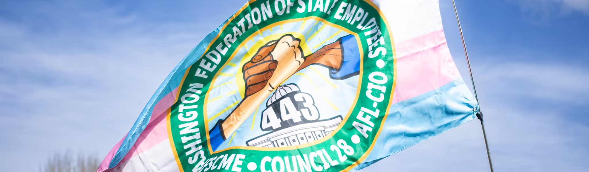 The union logo on a transgender pride flag